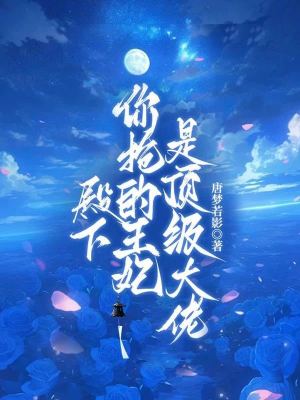 殿下你抢的王妃是顶级大佬