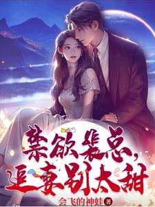 禁欲裴总追妻别太甜